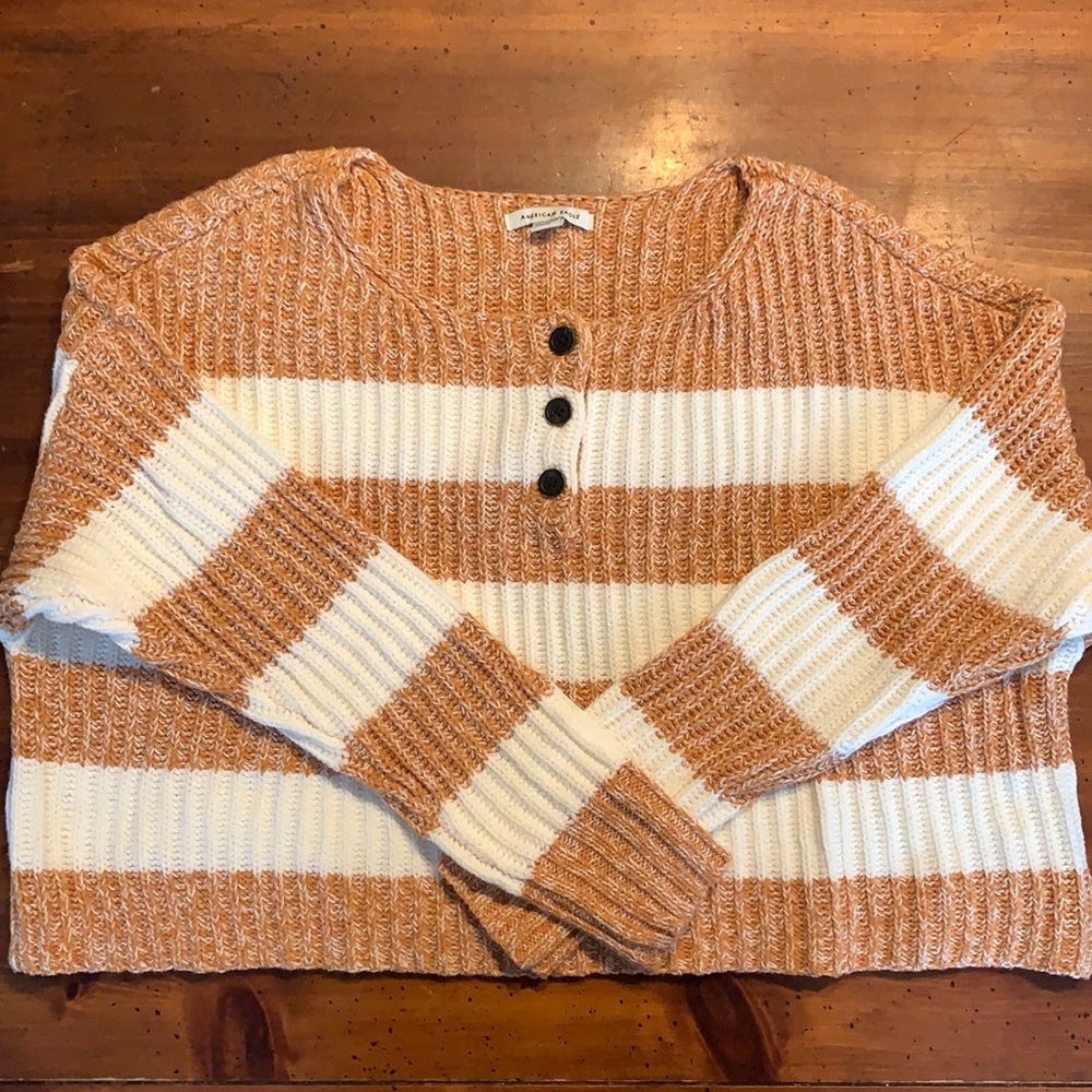 American Eagle Crop Sweater
